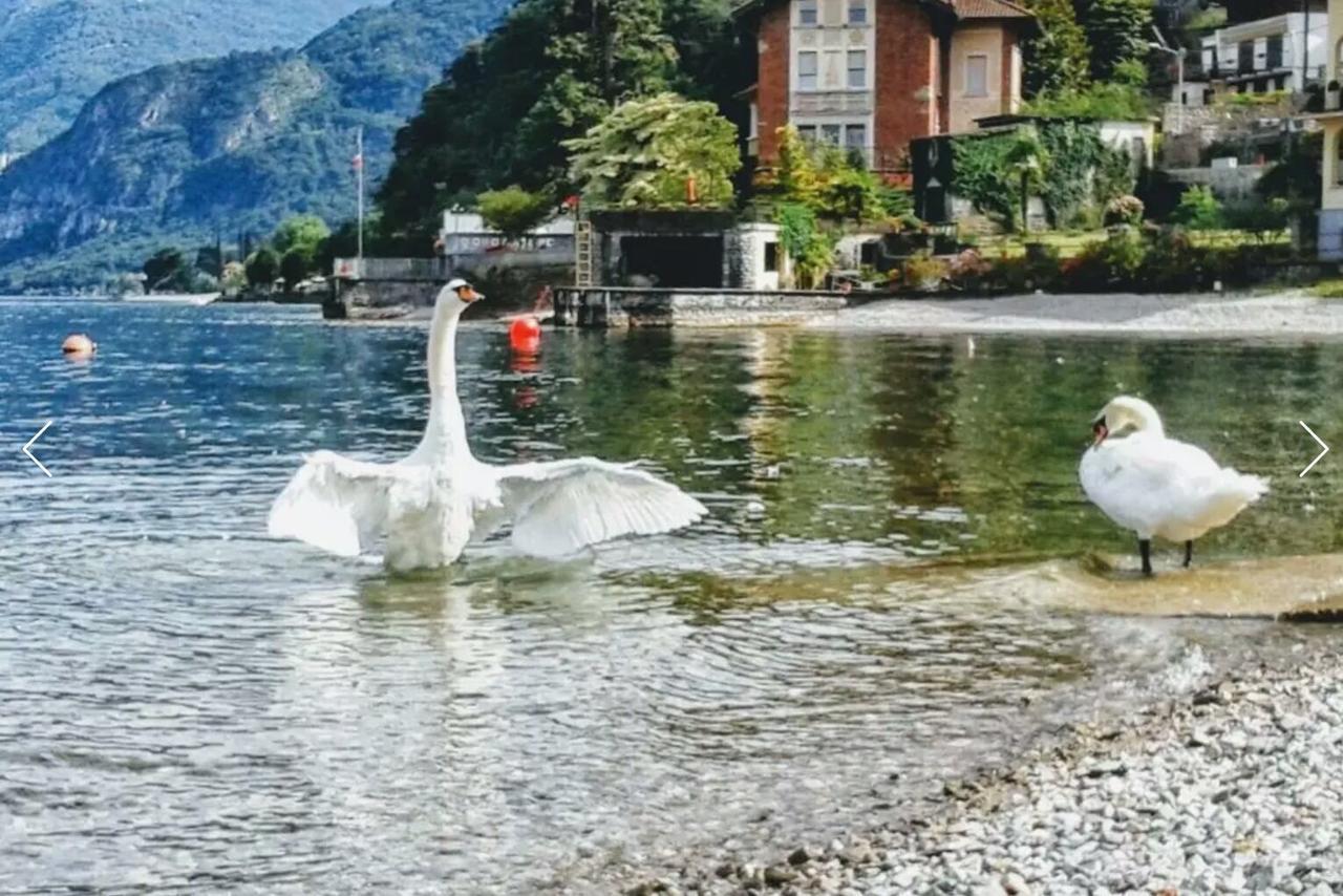 Le Grigne Guest House Oliveto Lario Exterior foto